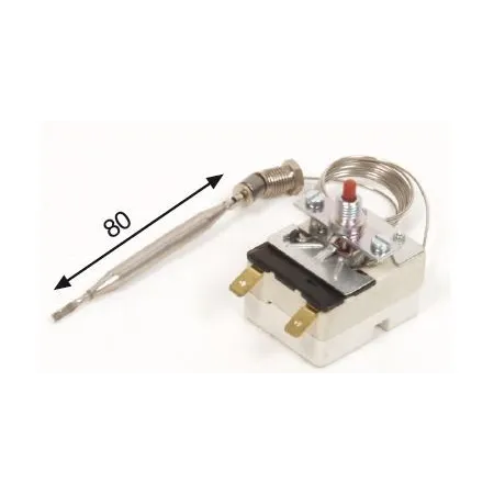Termostato seguridad Jemi 2