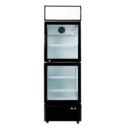 Armario expositor 2 Puerta C300