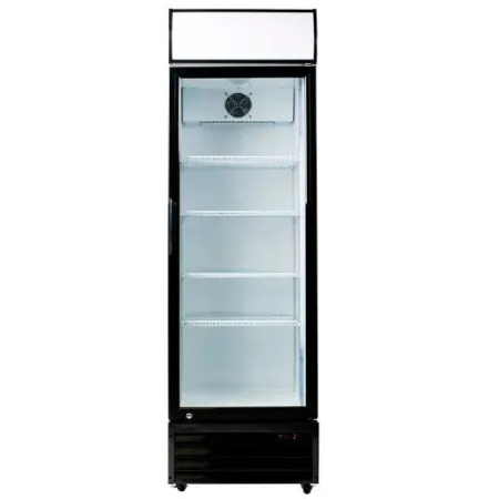 Armario expositor 1 Puerta C440