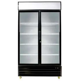 Armario expositor 2 Puerta C825