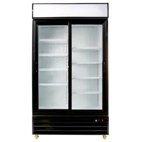Armario expositor 2 Puerta C1100