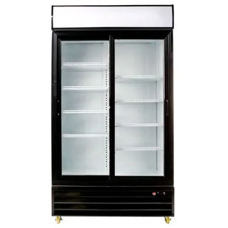 Armario expositor 2 Puerta C1100