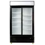 Armario expositor 2 Puerta C1100
