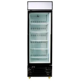 Armario expositor congelador C430