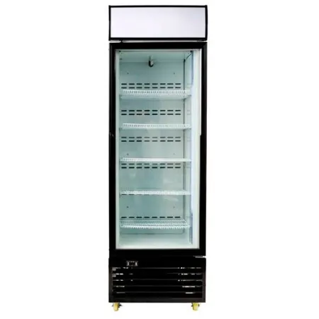 Armario expositor congelador C430