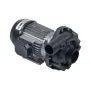 Bomba alba CM11314