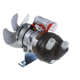 Bomba Fir 42402300