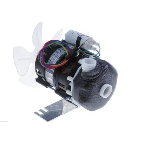 Bomba olympia T19