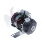 Bomba olympia T19