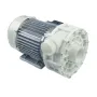 Bomba olympia L330