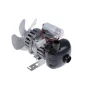 Bomba Rebo tipo 65/35