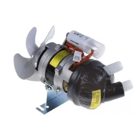 Bomba Fir 42402301
