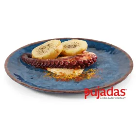 Plato plano melamina water