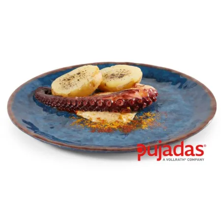 Plato plano melamina water