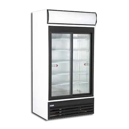 Armario expositor 2 puertas