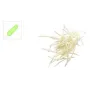 Disco rallador 3 mm