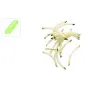 Disco bastoncillos 2 x 4 mm