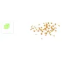 Discos Brunoises 2x2x2 mm