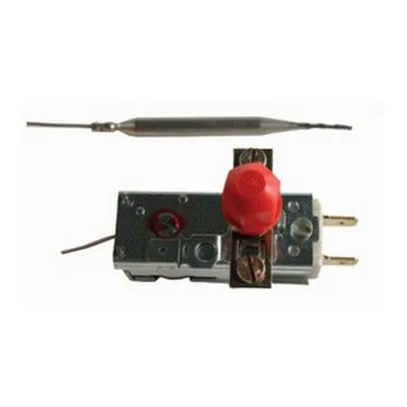 Termostato seguridad Repagas 1