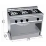 Cocina a gas 3 fuegos y horno maxi (fondo 600)