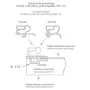 Perfil de PVC 136 para burletes 