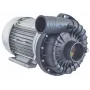 Bomba lavavajillas ZF800DX