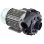 Bomba alba C2532