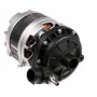 Bomba alba IM32591