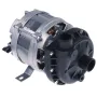 Bomba alba C0450