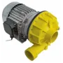 Bomba alba C9808