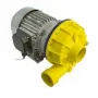 Bomba alba C9806