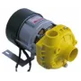 Bomba alba C4683