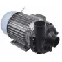 Bomba alba C5630