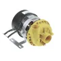 Bomba alba C7279