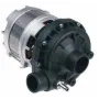 Bomba alba C2031