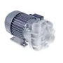 Bomba FIR 4217