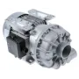Bomba FIR 1244.2527
