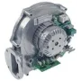 Ventilador radial Horno Angelo-Po